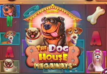 Microgaming - игровой автомат онлайн от Various с RTP 95.36%